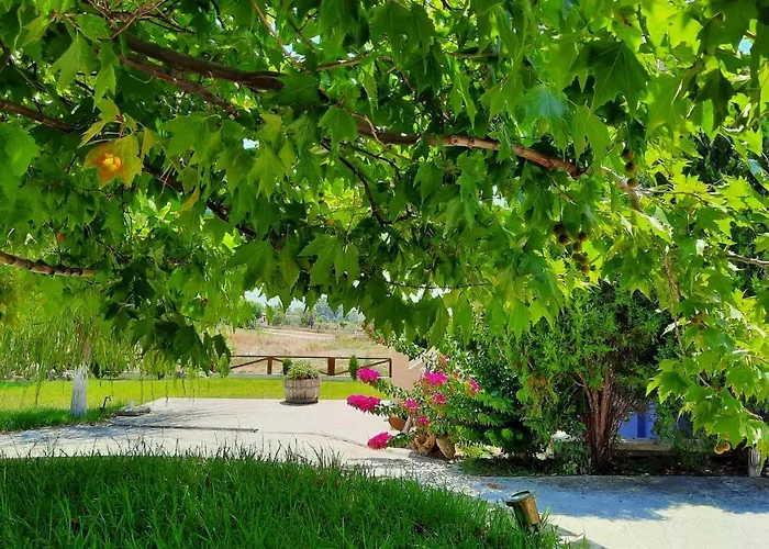 Apartman Alekos Houses-angelo *