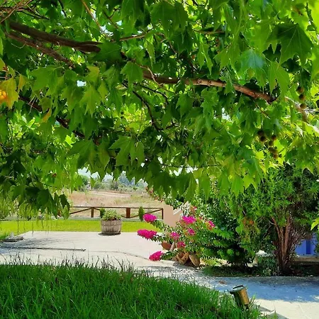 아파트 Alekos Houses-angelo *