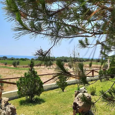 Alekos Houses-angelo *